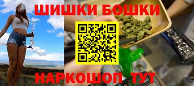сатива Новозыбков