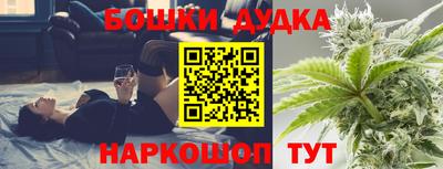 сатива Новозыбков