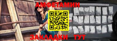 сатива Новозыбков